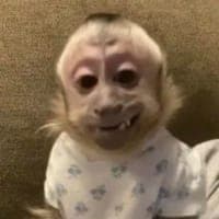 Foto de Jimena Yosety Mendieta Ramos, creador UGC en TikTok