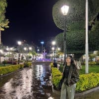 Paola Marisol areche 